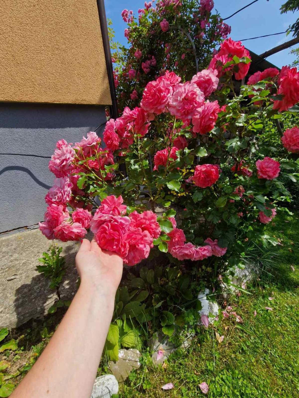У Дядька Guest House Pilipets Luaran gambar